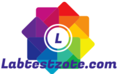 labtestzote.com logo
