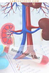 Kidney Function Tests