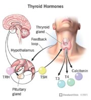 Illustration of importance of thyroid function tests