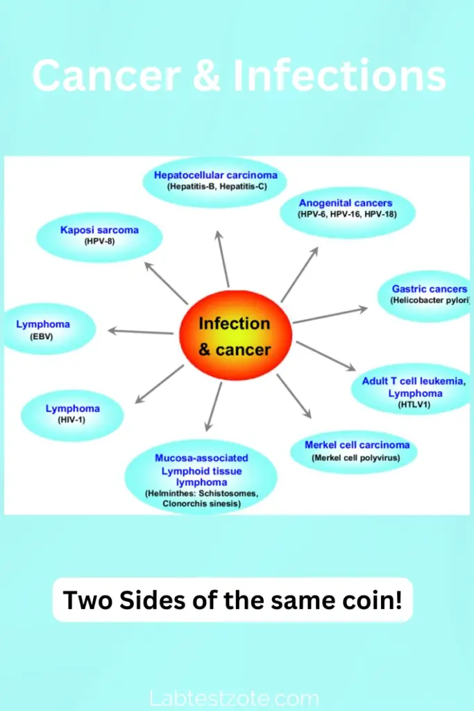 Infectious Diseases And Cancer