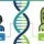 DNA Avuncular Test